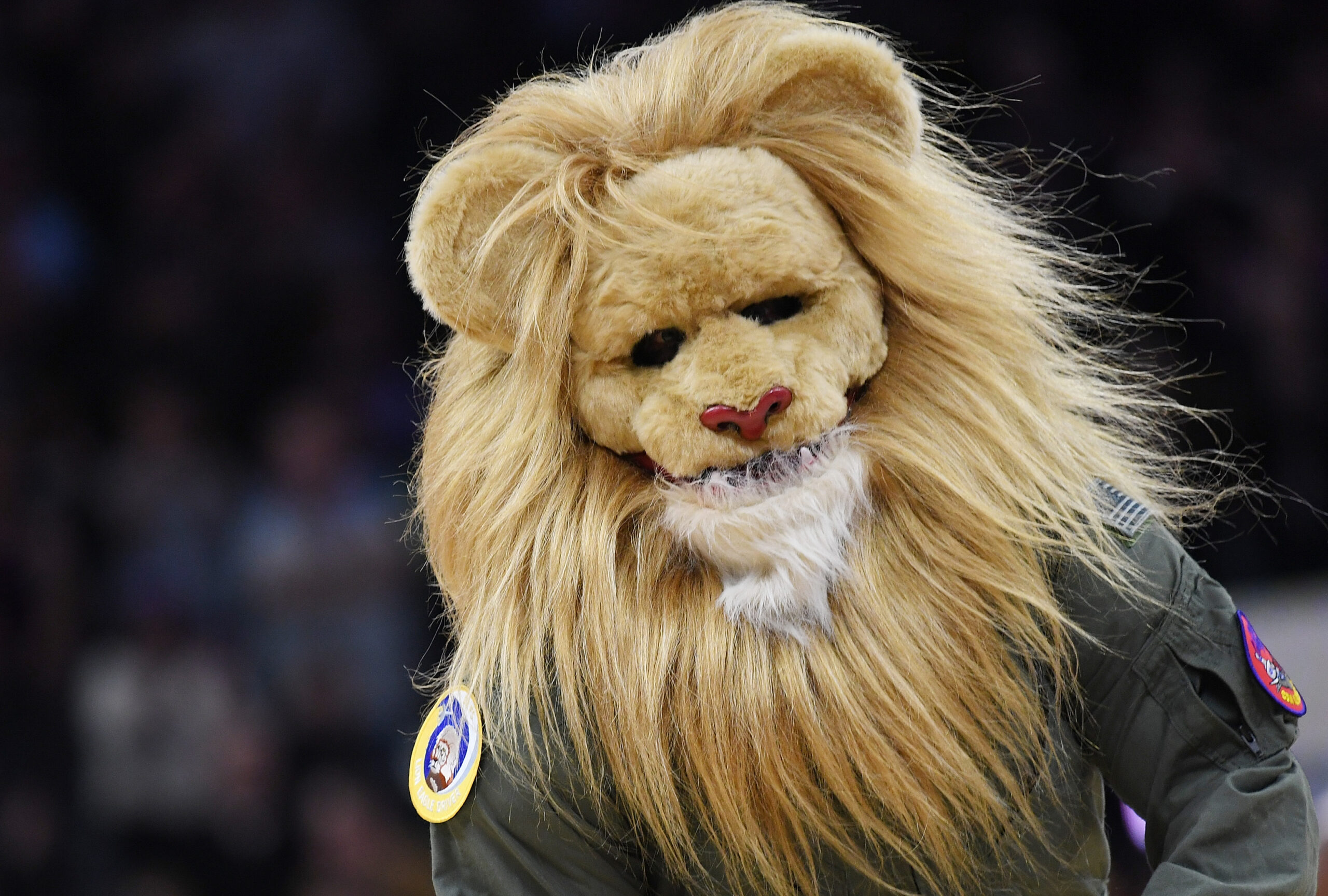 Sacramento Kings Mascot - Slamson the Lion 