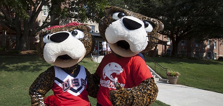 Meet Southpaw-University of South Alabama Mascot