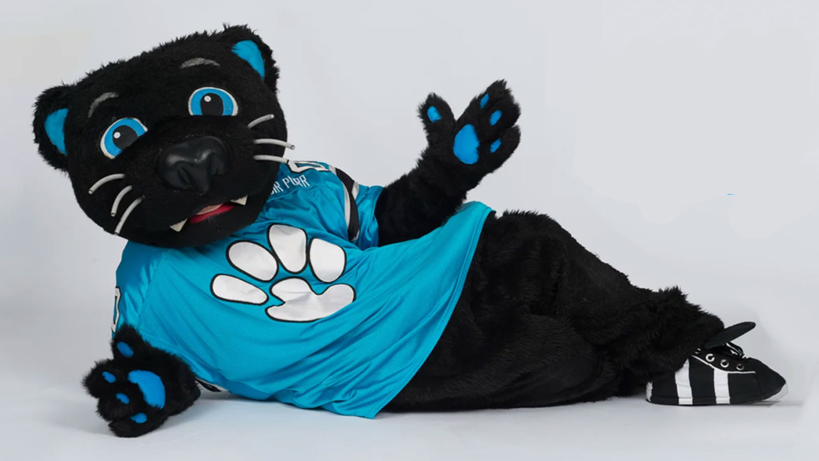 Carolina Panthers Mascot - Who is Sir Purr?