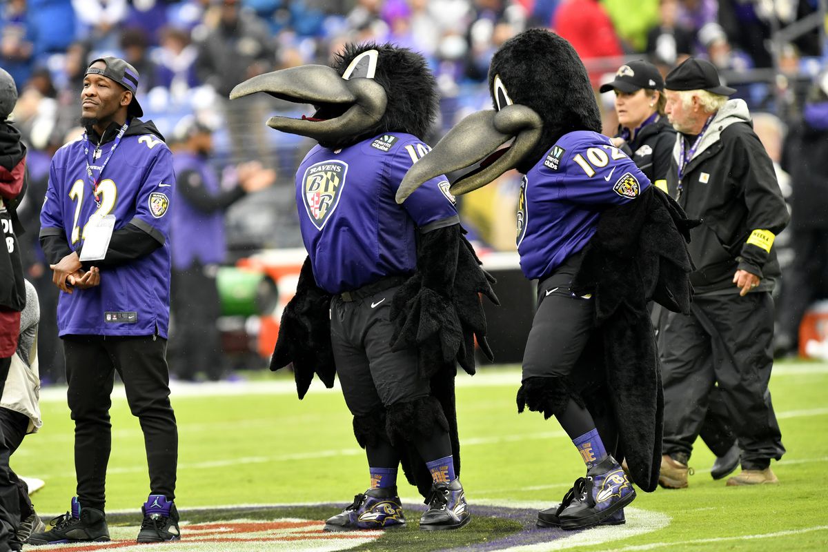 The story behind Baltimore Ravens Mascot