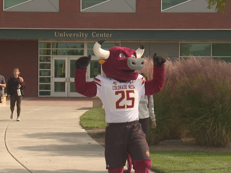 Rowdy the Maverick-Colorado Mesa University mascot