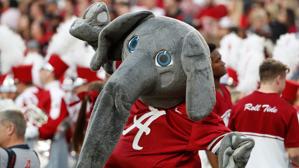 Who is Big Al? The University of Alabama Mascot