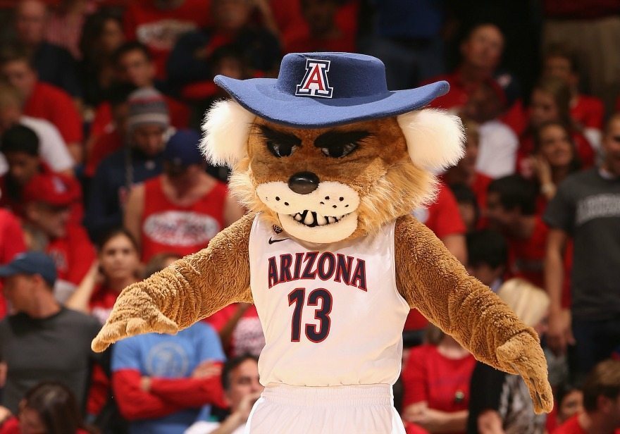 The University of Arizona mascot: Wilbur the Wildcat