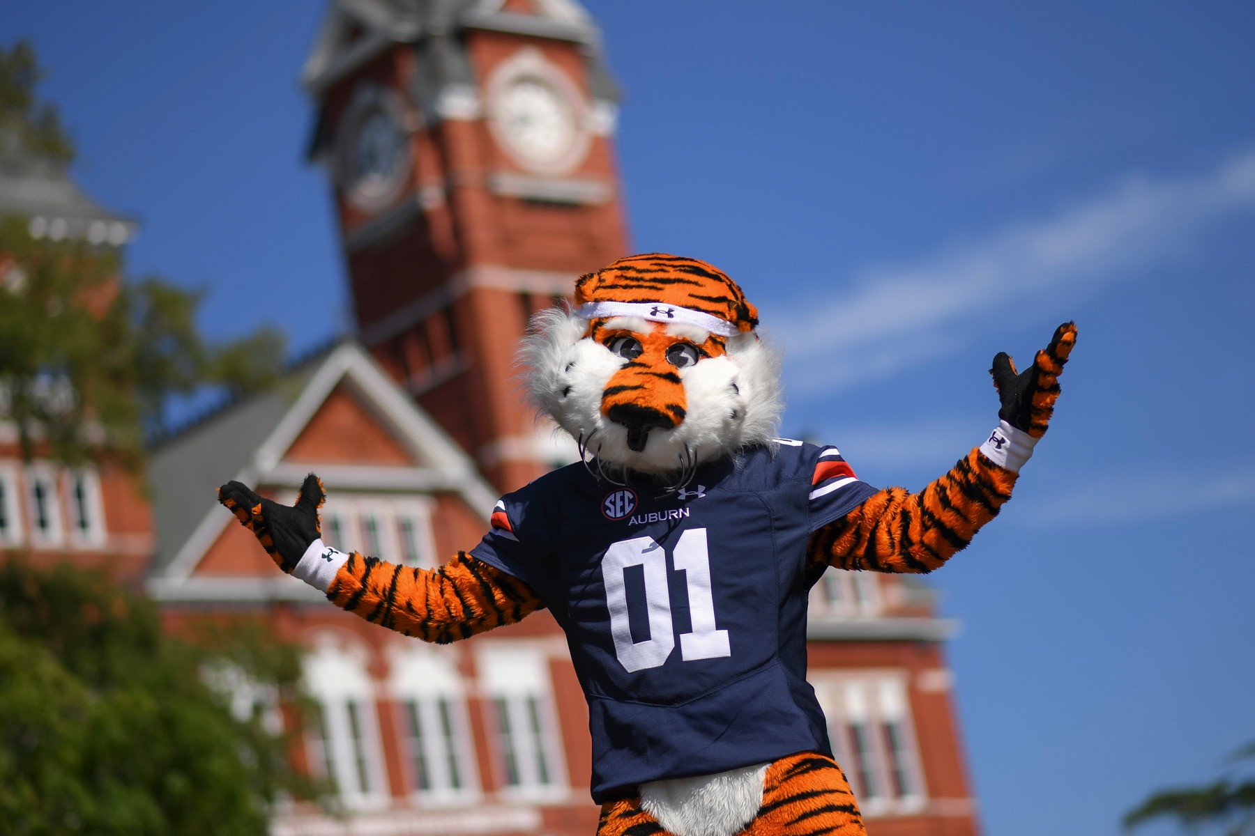 Who is Aubie the Tiger? Auburn University's mascot