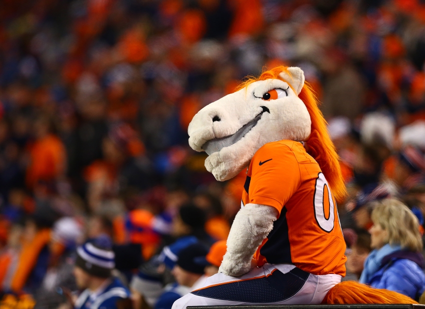 Denver Broncos Mascots - Miles