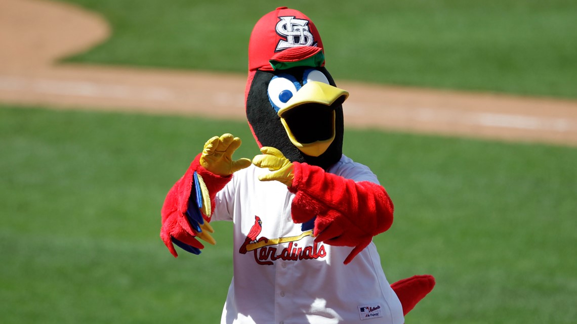 St. Louis Cardinals Mascot - Fredbird
