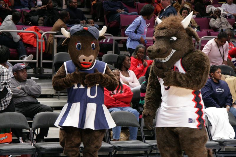 Meet Bison: Howard University mascot