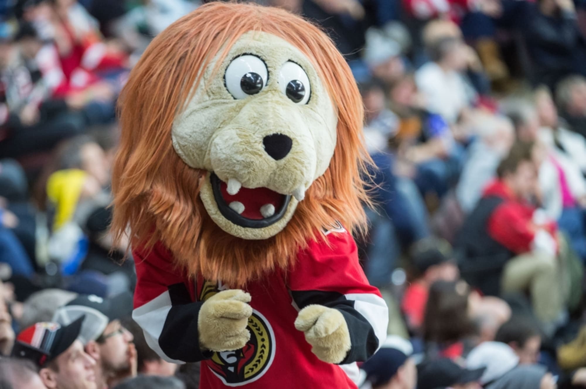 Who is Spartacat? Ottawa Senators Mascot