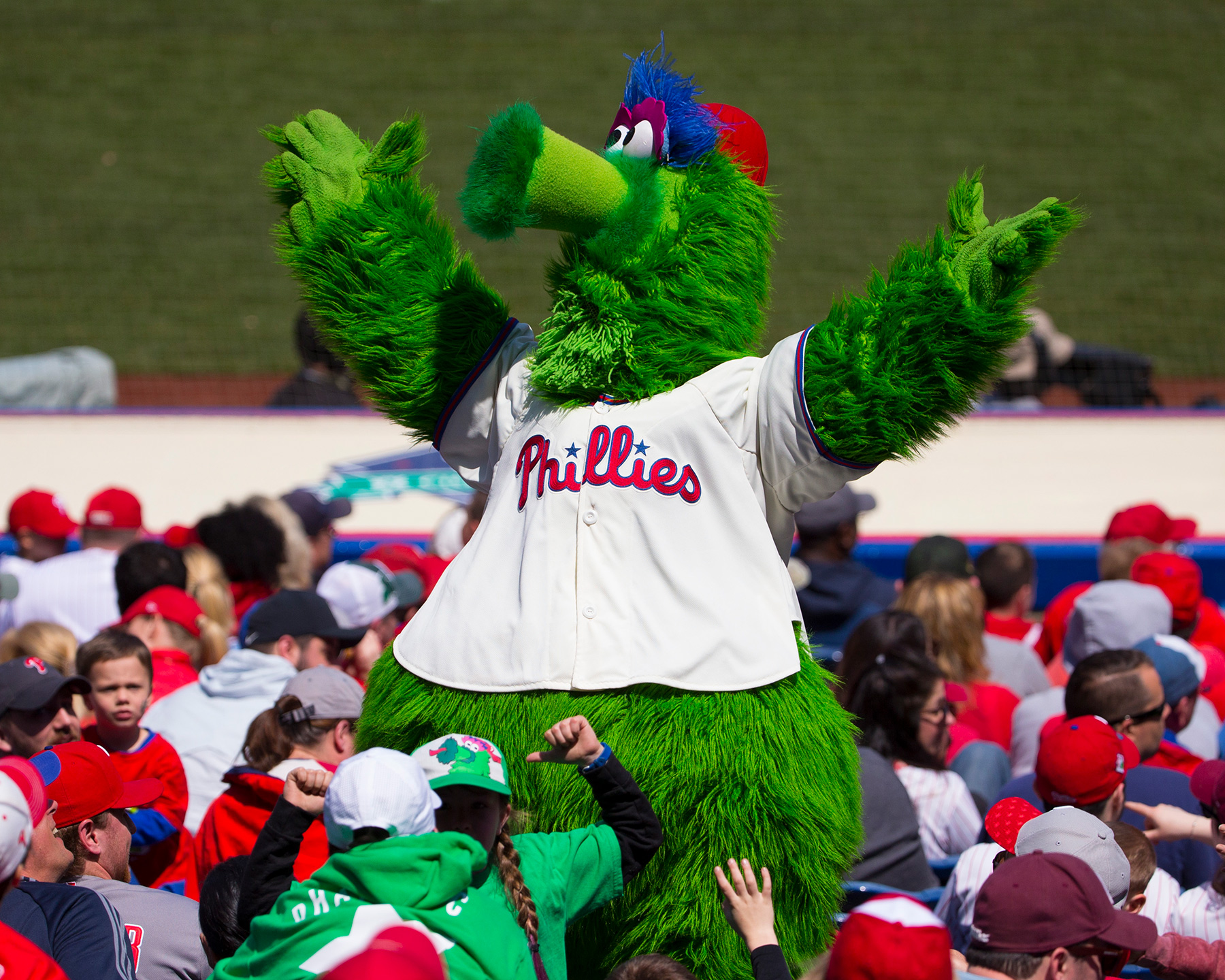 Philadelphia Phillies Mascot - Phillie Phanatic